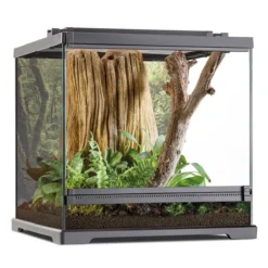 Terrarium reptile et amphibien 45x45x45cm Dart Frog PT2745 - Exo Terra