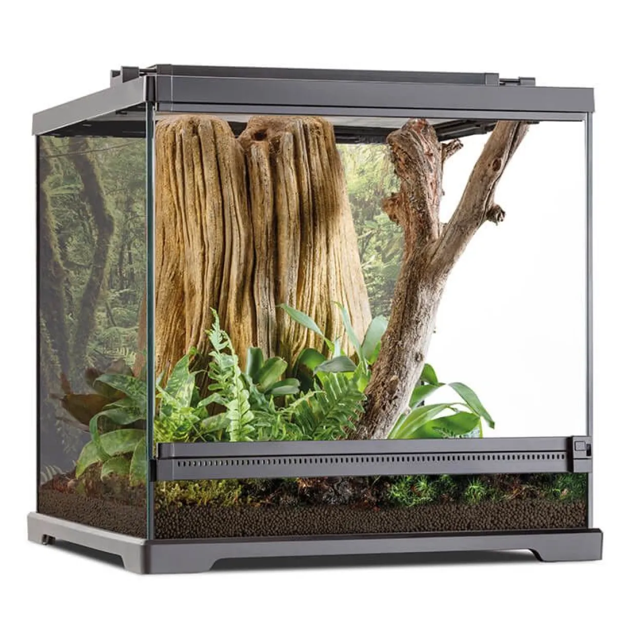 Terrarium reptile et amphibien 45x45x45cm Dart Frog PT2745 - Exo Terra