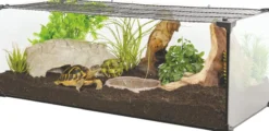 Terrarium tortue Karapas Terra 80 Pro noir - Zolux