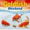 Tetra Goldfish Weekend