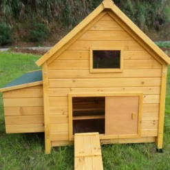 Toit poulailler Cémani L jusqu’à 6 poules vert