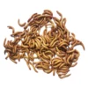 Vers de farine déshydratés 200g - Invers