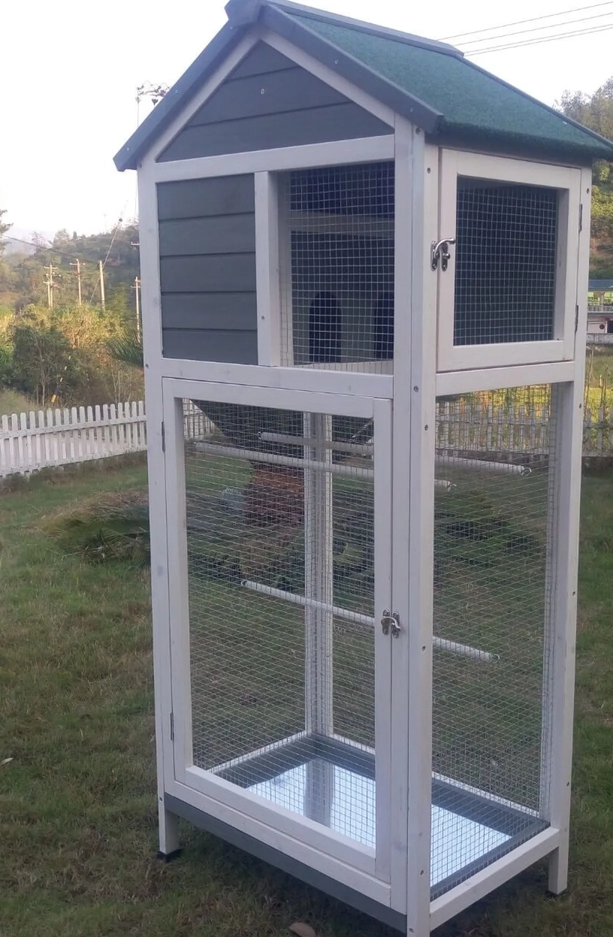 Volière oiseaux bois Inséparable bleue et blanche toit shingle